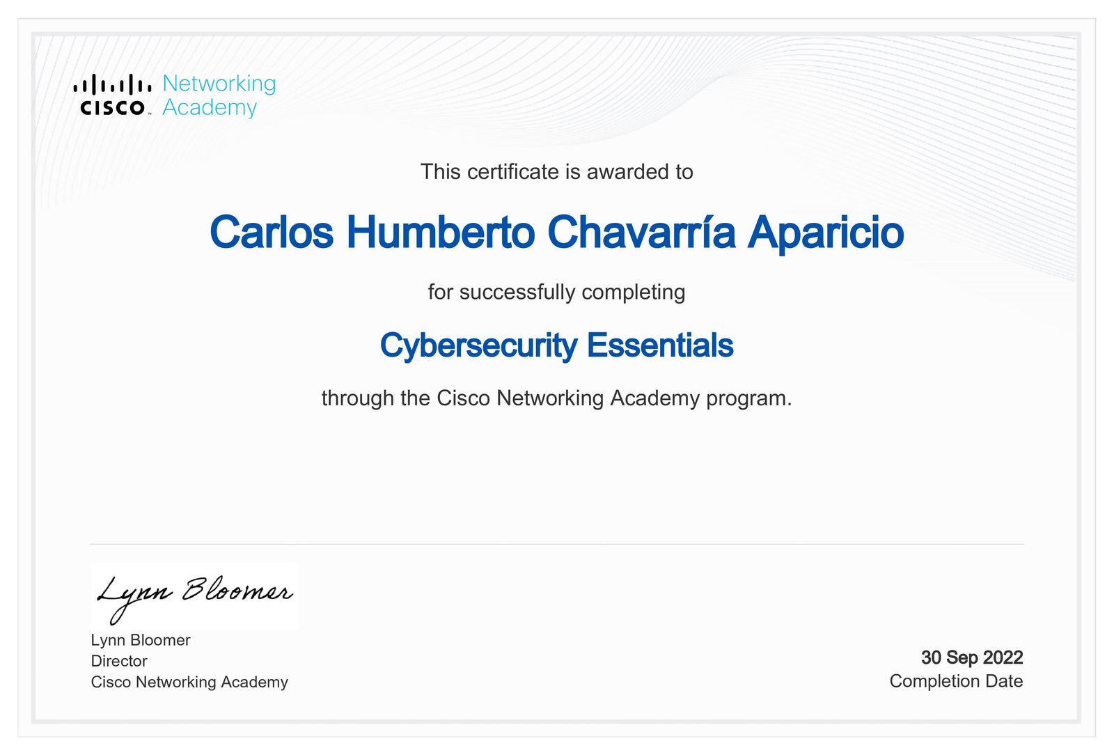 Diploma hacker_Essentials